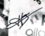 Bernard Hinault Autograph Signed Photo